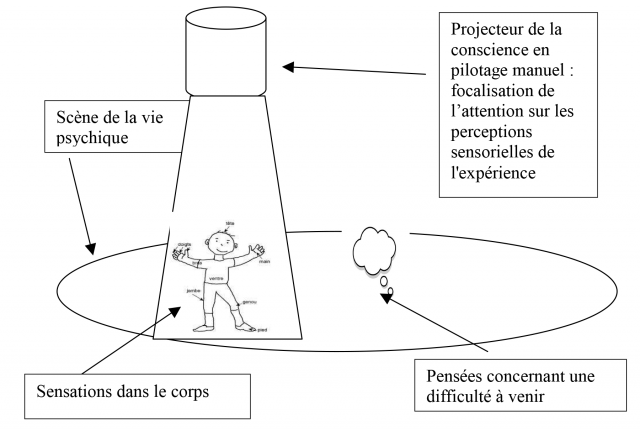 la pleine conscience, c’est fixer son attention délibérément sur un phénomène présent ici et maintenant et en avoir conscience