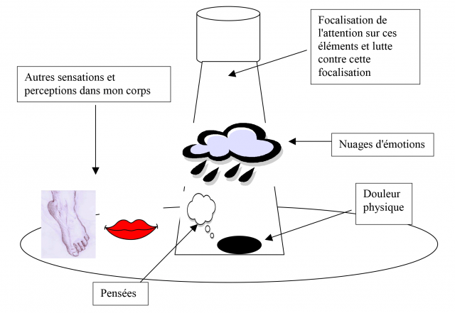 Schéma focalisation de l'attention