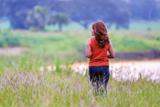 Marche