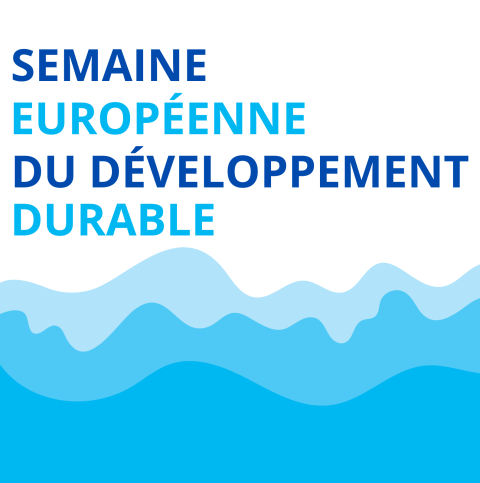  Semaine DD 2024 site LM_3.png 