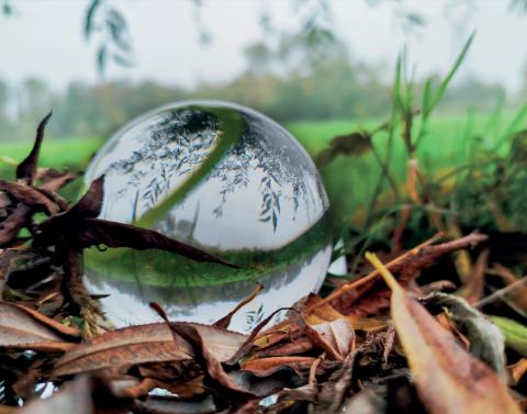 affiche-reflet-invit-2025-hd copie.jpg 