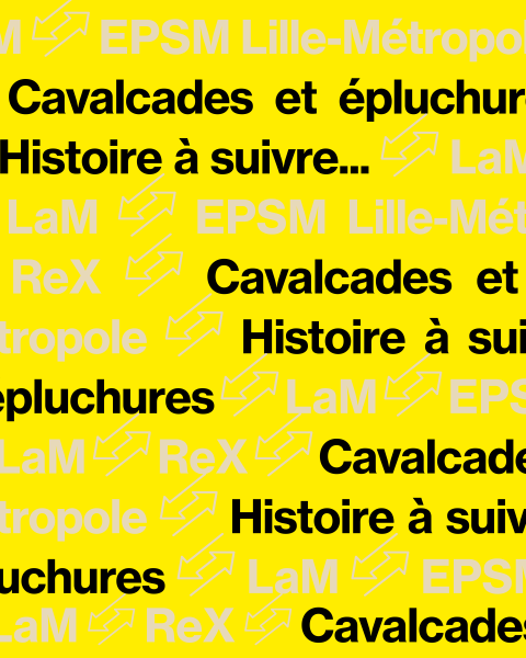  Histoire-a-suivre_Cavalcades-et-epluchures_1080_1350.png