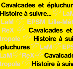  Histoire-a-suivre_Cavalcades-et-epluchures_1080_1350.png
