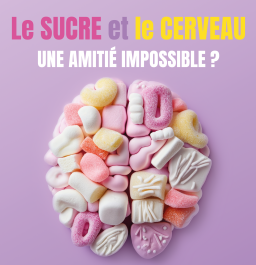 LM_Demi-journee-CLAN_Affiche-A3_sans-logos.png 