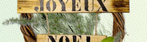 2023_Noel-Jardins-a-vivre.PNG 