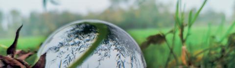affiche-reflet-invit-2025-hd copie.jpg 