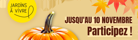 Jeu concours automne-4.png