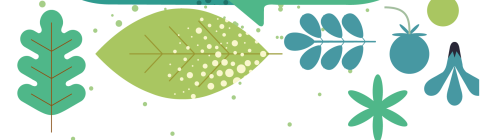  20260626_SDD_Decli-RS-02.png 